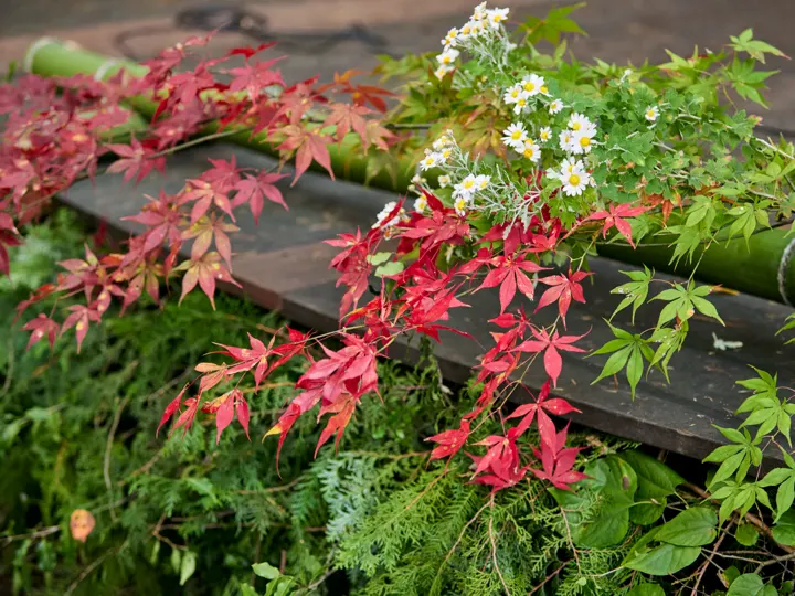 赤く色づいたもみじと緑の葉、白い小さな花が、木の板の上に飾られている。